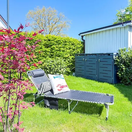 Seeschwalbe Zingst